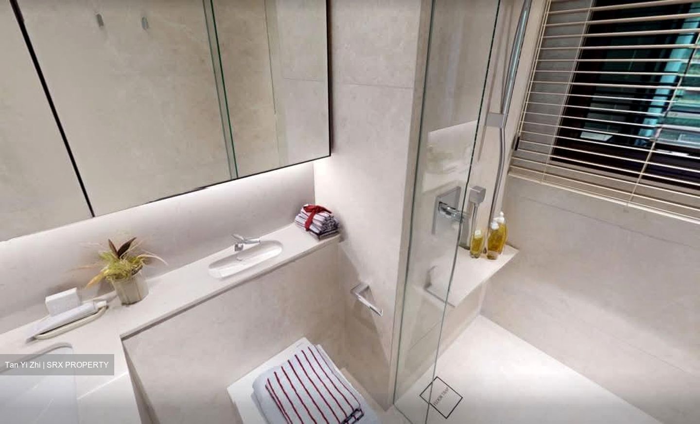 Dunearn Road (D11), Condominium #591957651